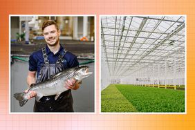 a side by side of a man holding a salmon and inside of the salmon farm