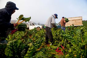 farm labor in california
