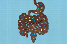 an illustration of a gut and stomach with healthy bacteria 