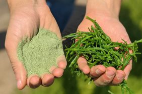 green salt